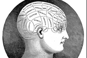 phrenologie