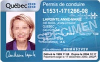 permis de conduire